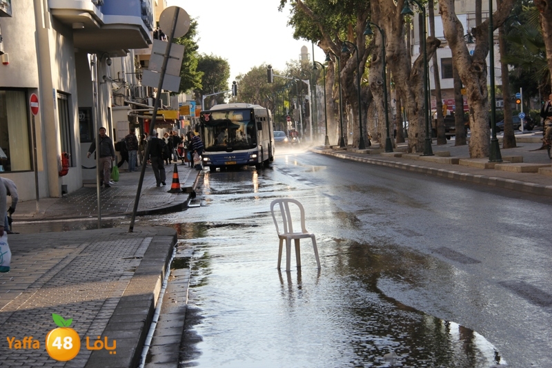 naforea jsadsah (3).JPG